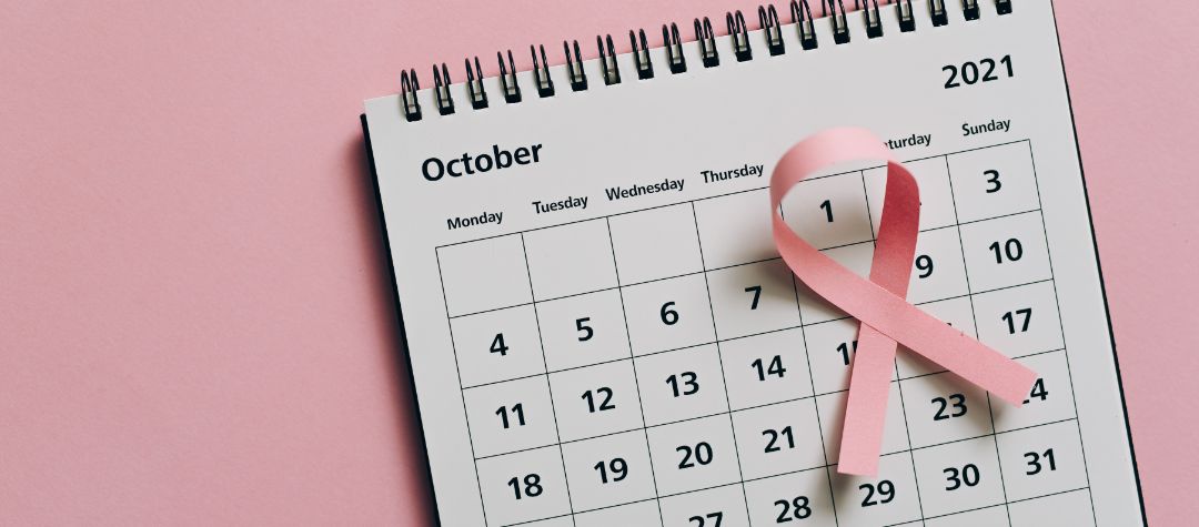 派生ページトップ